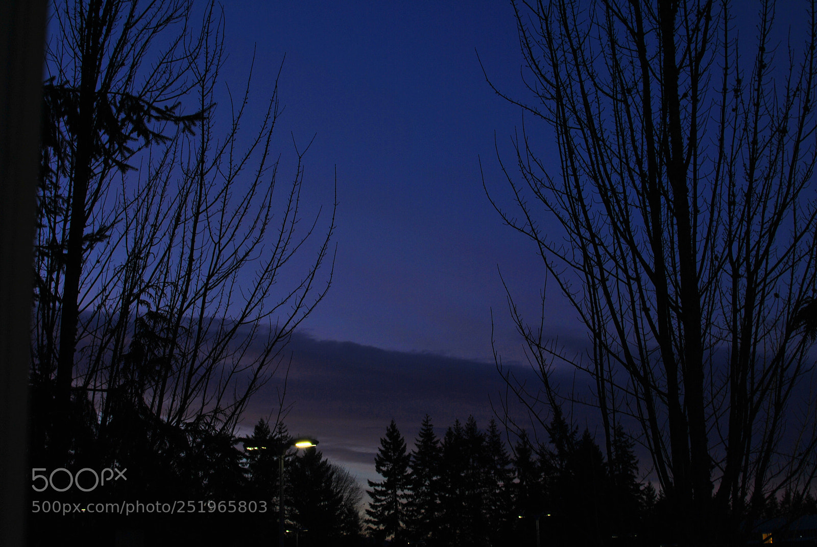 Nikon D3000 sample photo. Magical sky photography