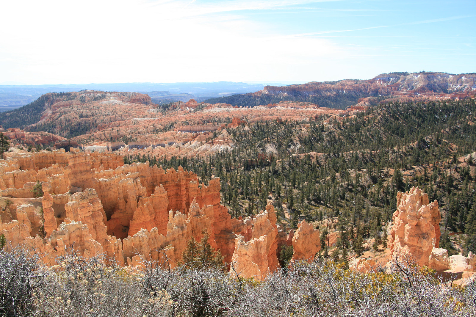 Canon EOS 400D (EOS Digital Rebel XTi / EOS Kiss Digital X) sample photo. Bryce canyon photography