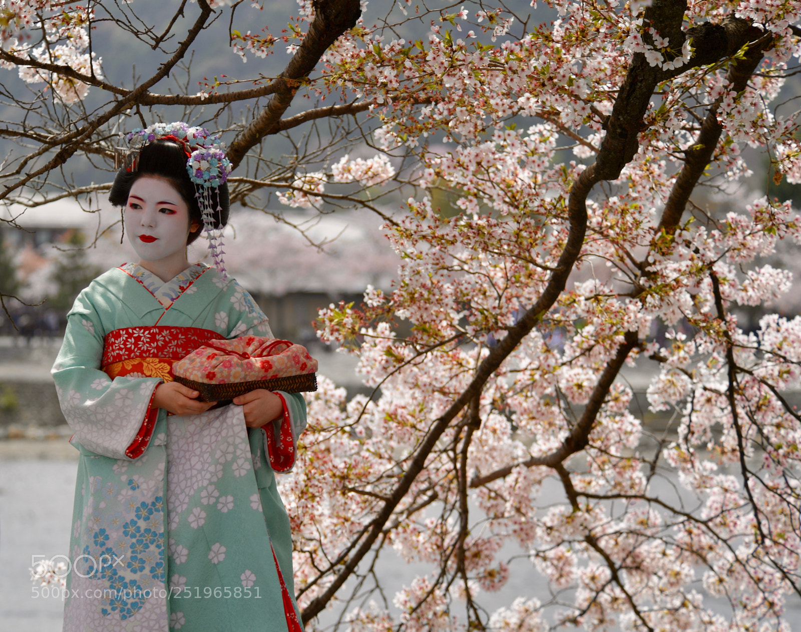 Nikon D5 sample photo. Geisha photography