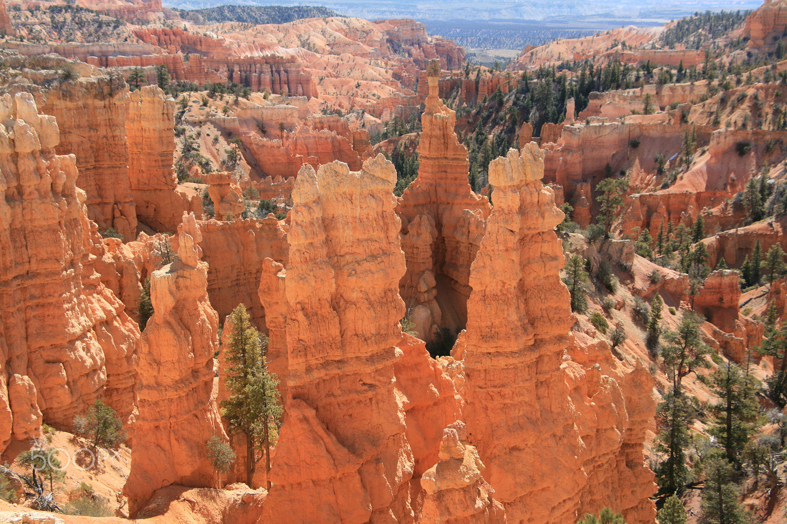 Canon EOS 400D (EOS Digital Rebel XTi / EOS Kiss Digital X) sample photo. Bryce canyon photography