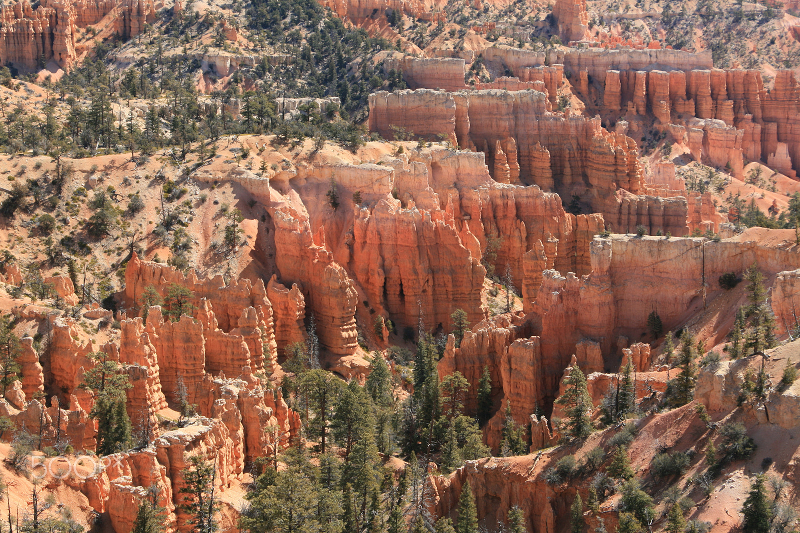 Canon EOS 400D (EOS Digital Rebel XTi / EOS Kiss Digital X) sample photo. Bryce canyon photography
