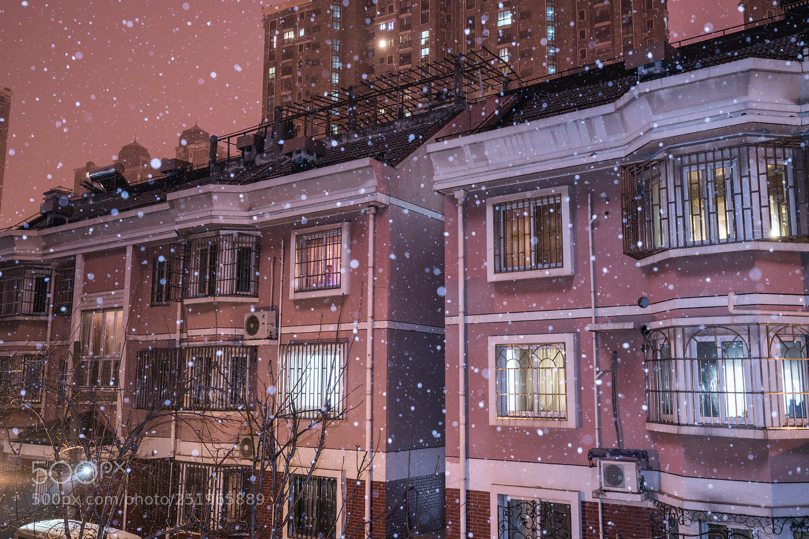 Sony a7R II sample photo. _dsc1343-2.jpg photography