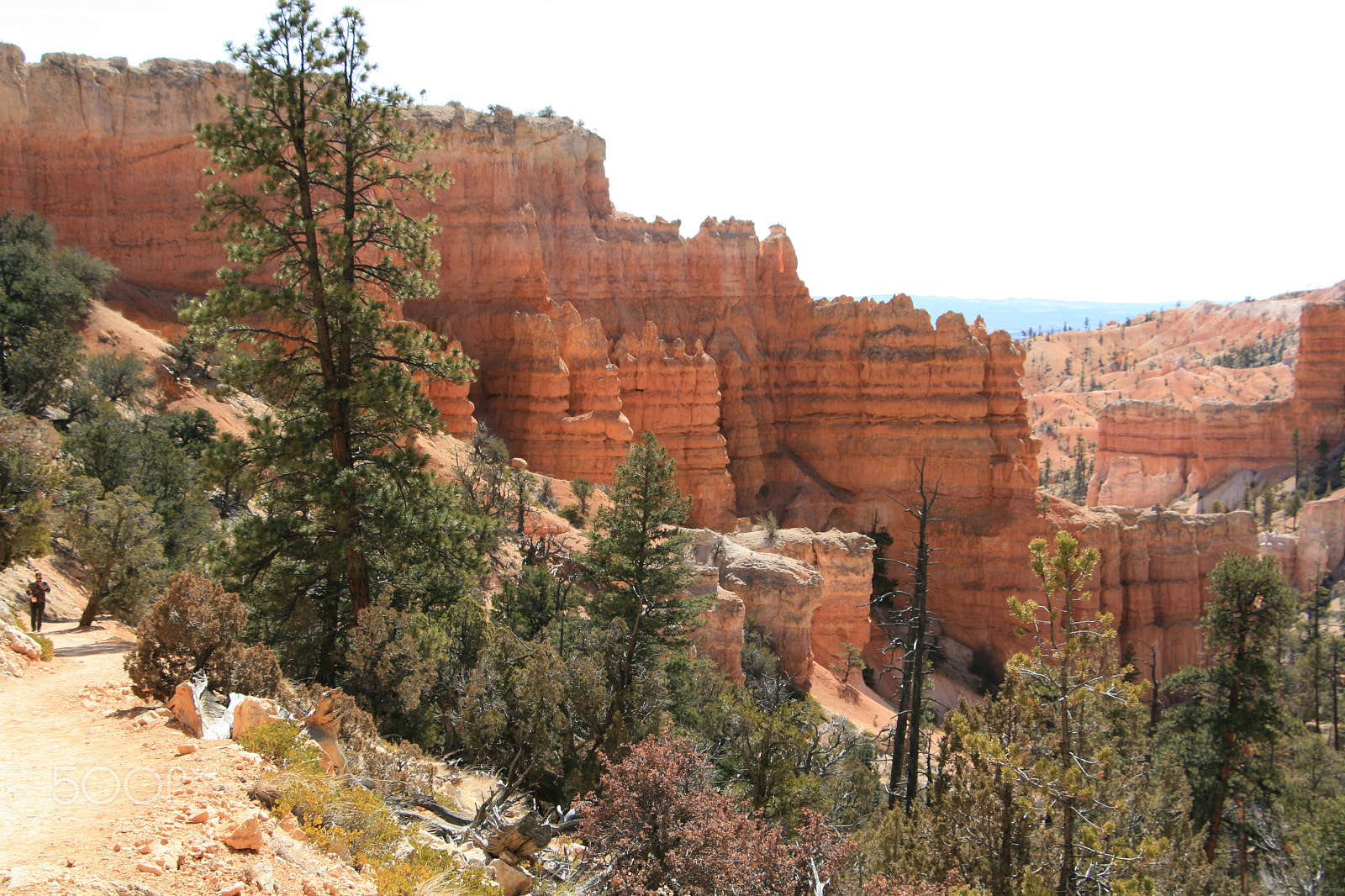Canon EOS 400D (EOS Digital Rebel XTi / EOS Kiss Digital X) sample photo. Bryce canyon photography