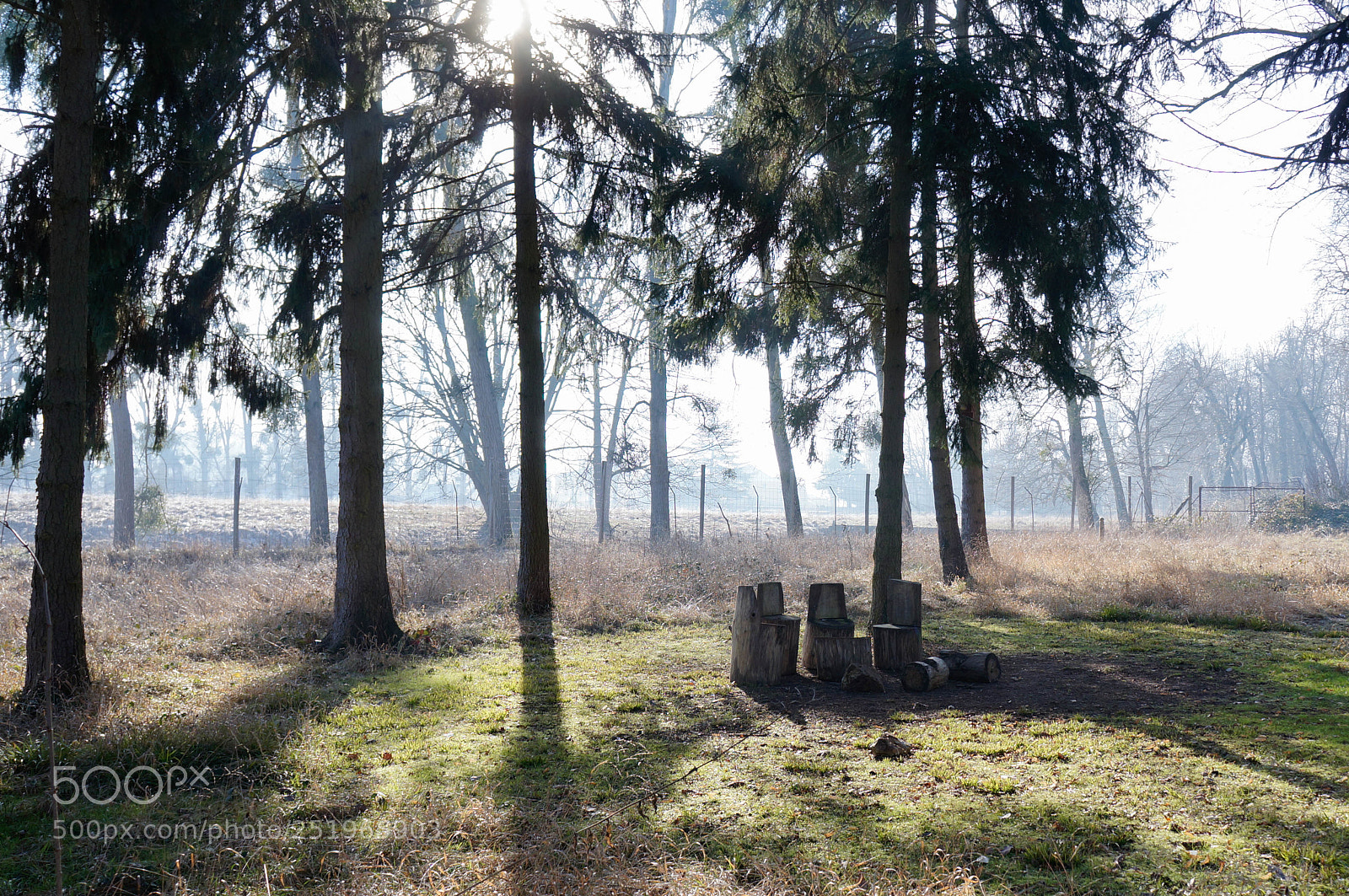 Sony Alpha NEX-5N sample photo. Cercle des druides. photography