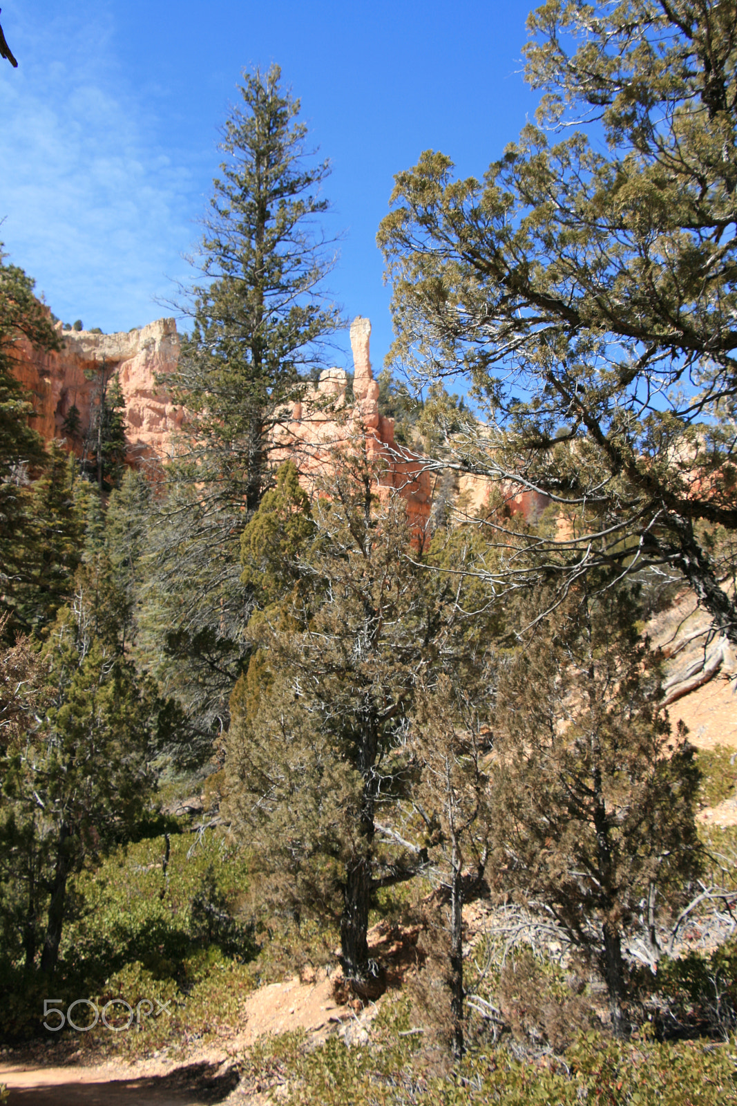 Canon EOS 400D (EOS Digital Rebel XTi / EOS Kiss Digital X) sample photo. Bryce canyon photography
