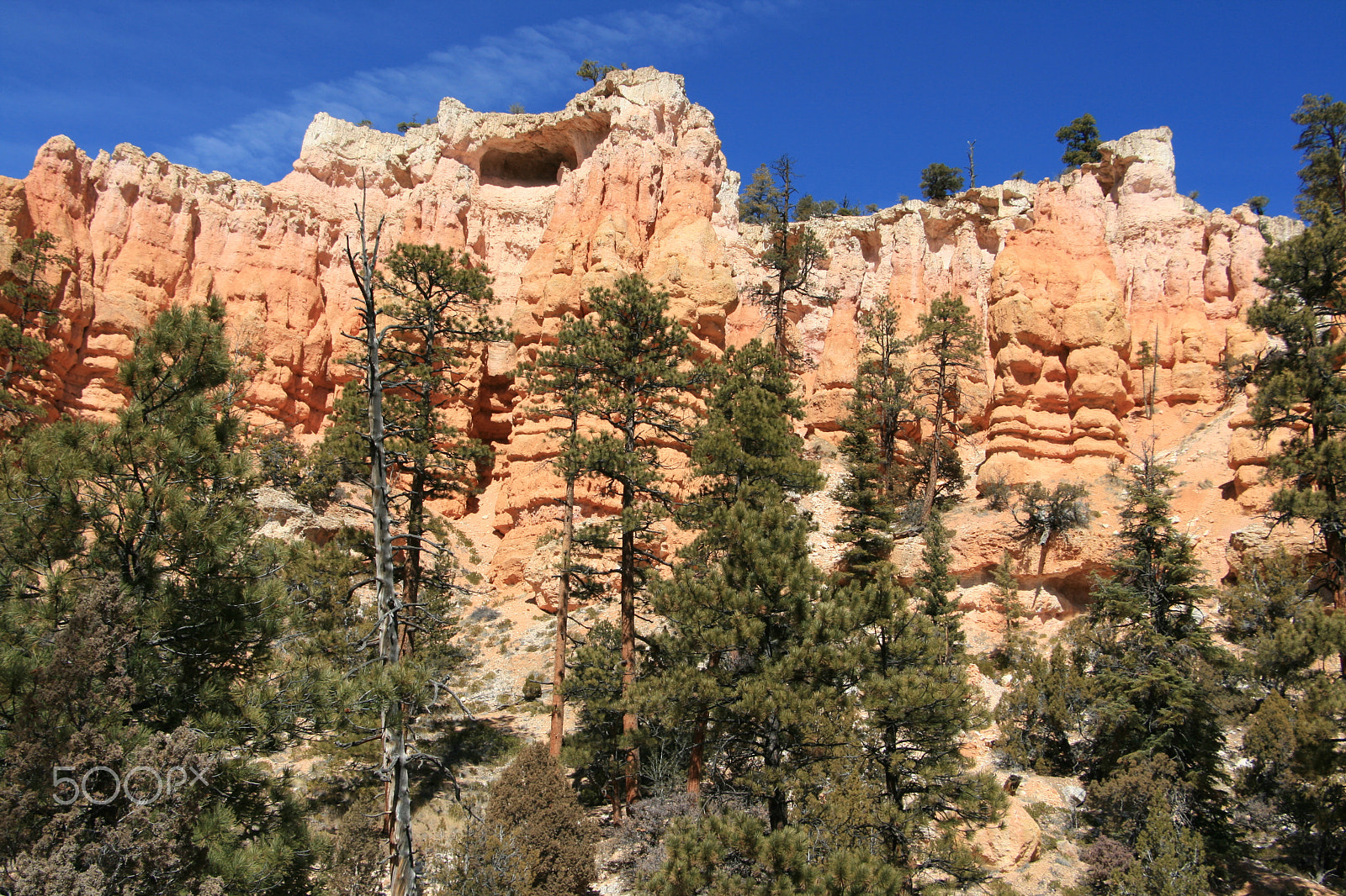 Canon EOS 400D (EOS Digital Rebel XTi / EOS Kiss Digital X) sample photo. Bryce canyon photography