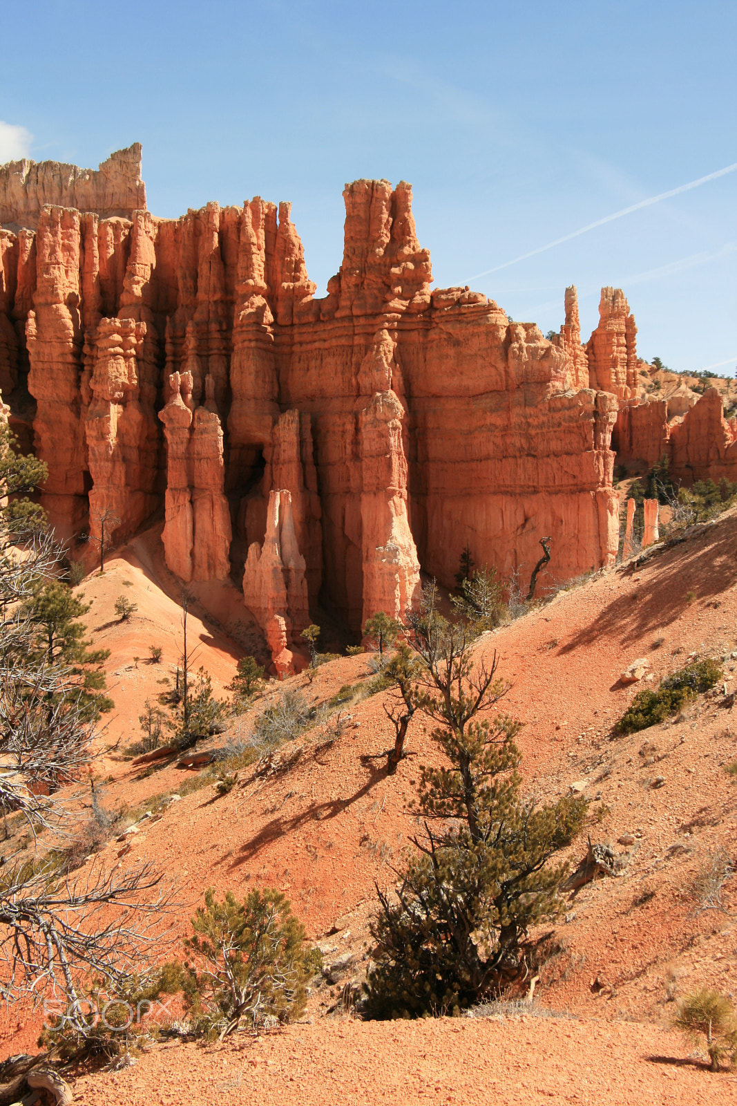Canon EOS 400D (EOS Digital Rebel XTi / EOS Kiss Digital X) sample photo. Bryce canyon photography