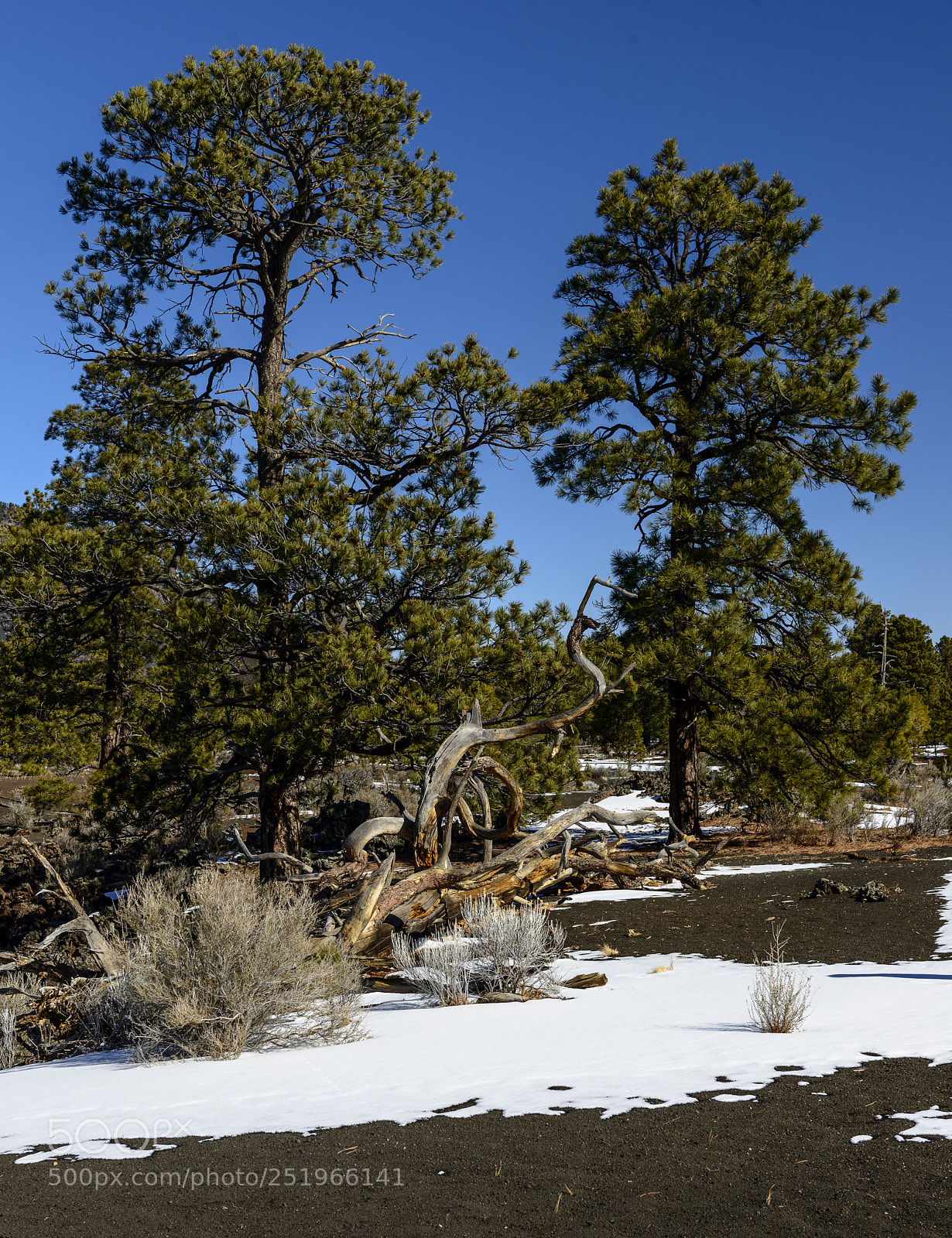 Nikon D800 sample photo. Sunset crater national park photography