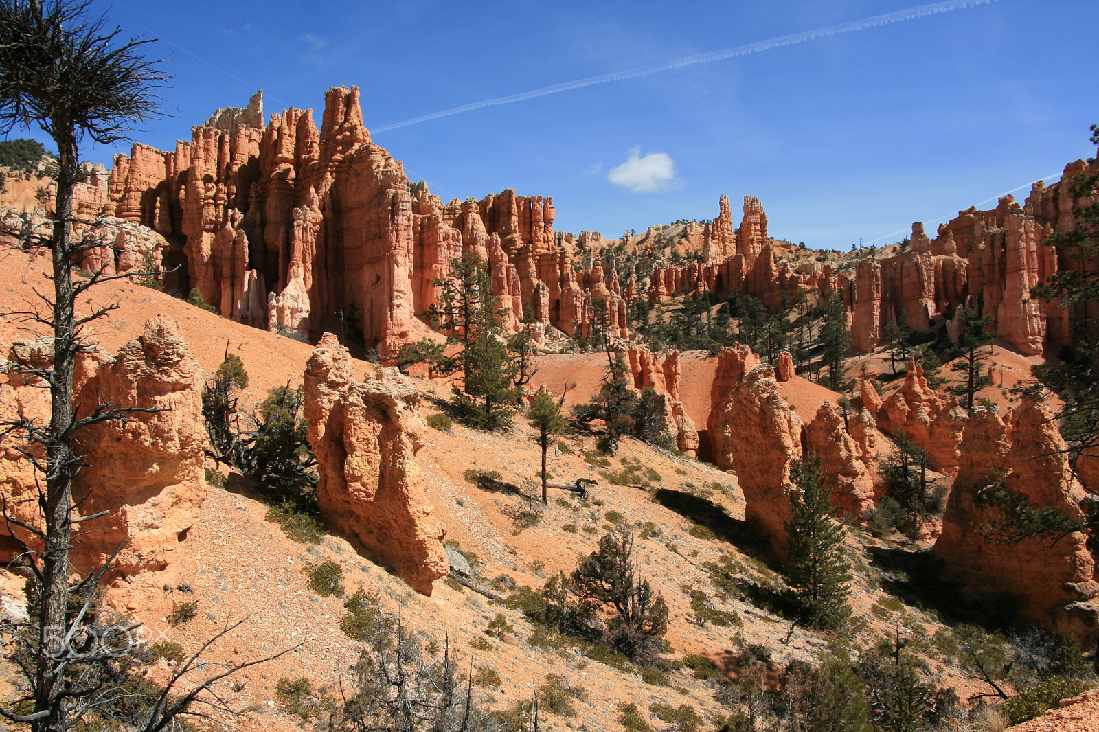 Canon EOS 400D (EOS Digital Rebel XTi / EOS Kiss Digital X) sample photo. Bryce canyon photography