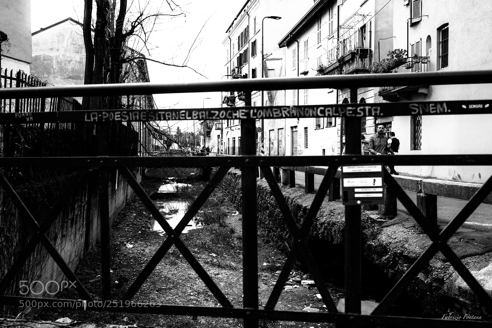 Nikon D500 sample photo. Untitled photography