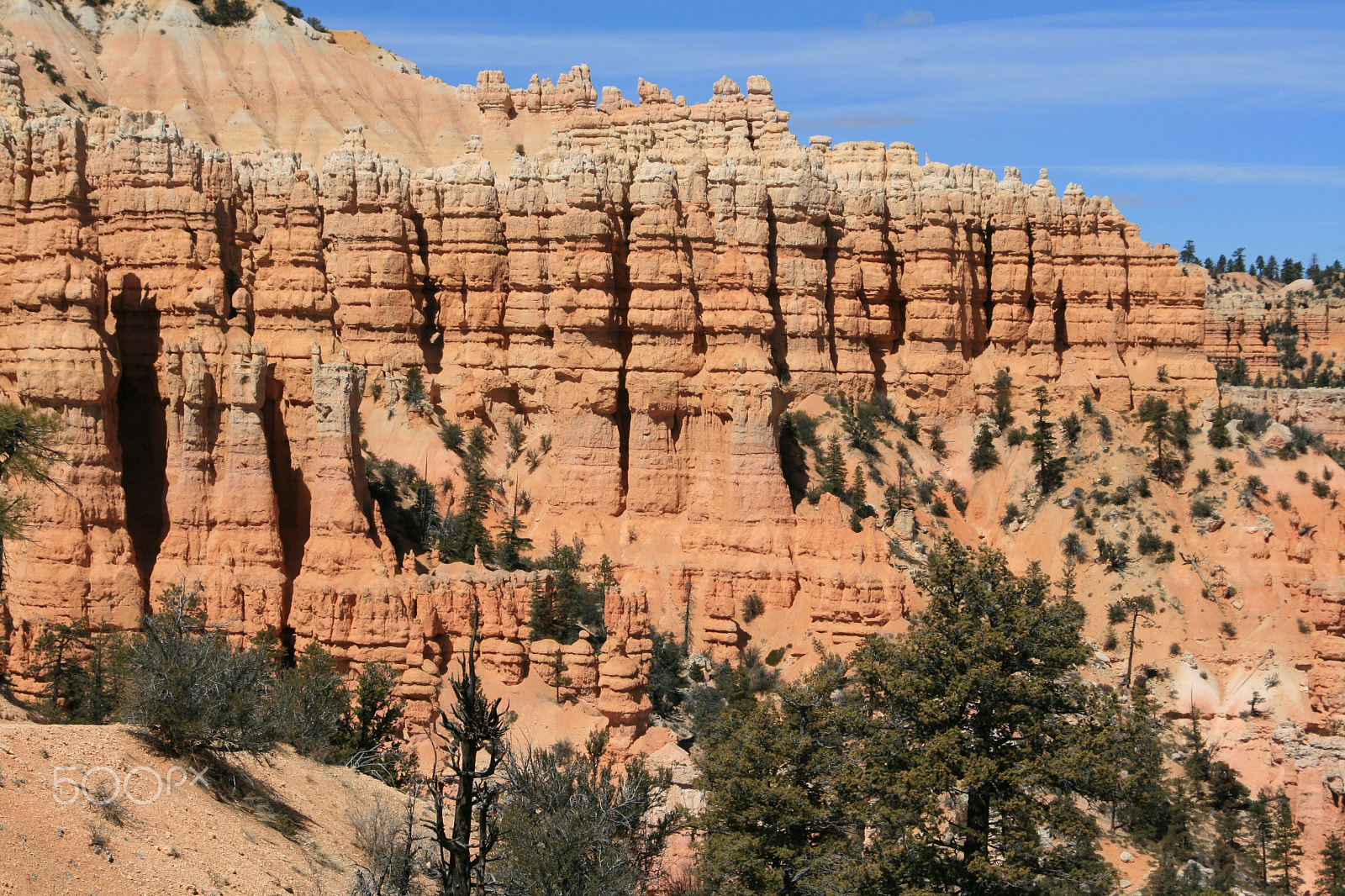 Canon EOS 400D (EOS Digital Rebel XTi / EOS Kiss Digital X) sample photo. Bryce canyon photography