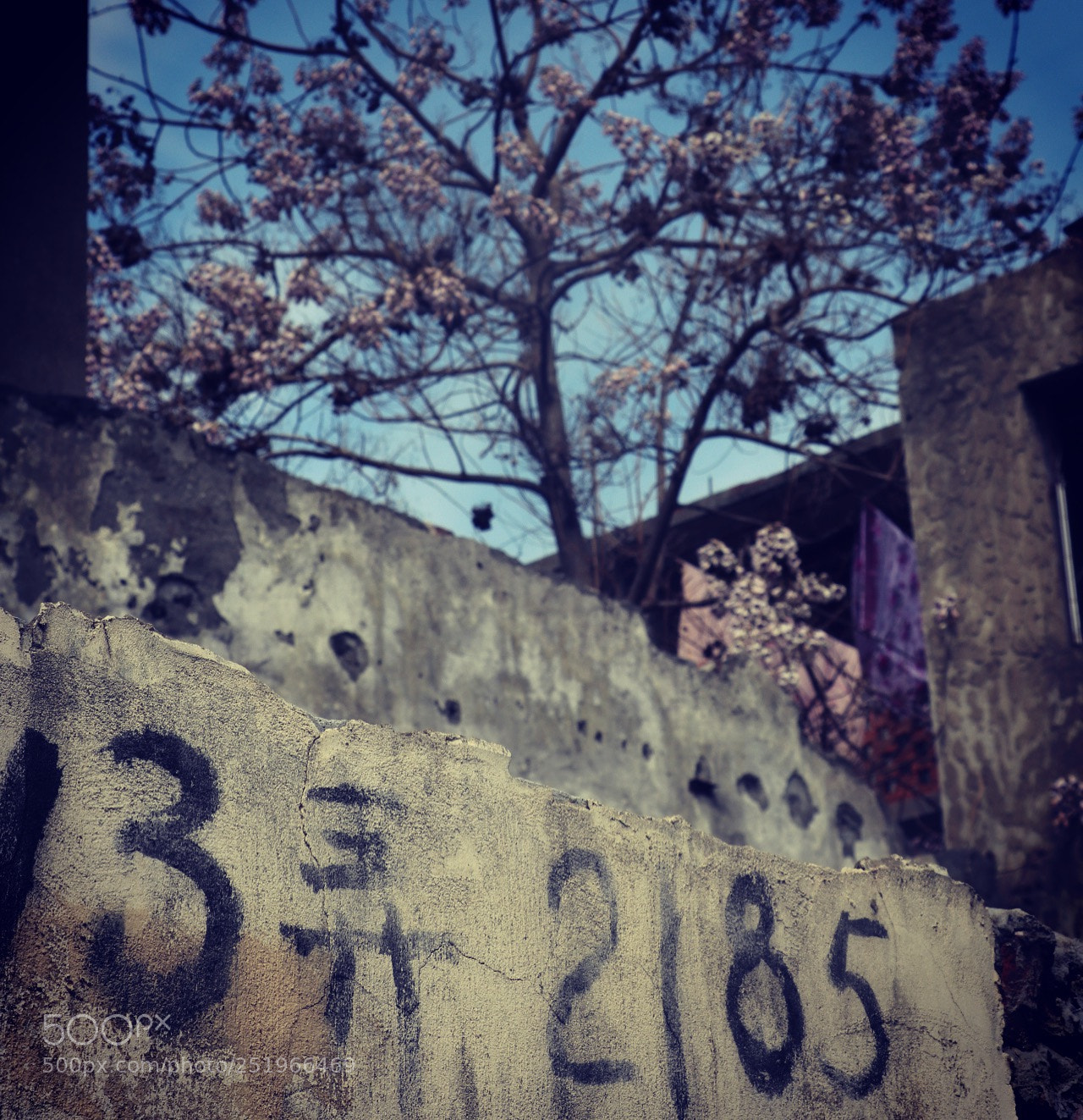 Canon EOS 80D sample photo. Untitled photography