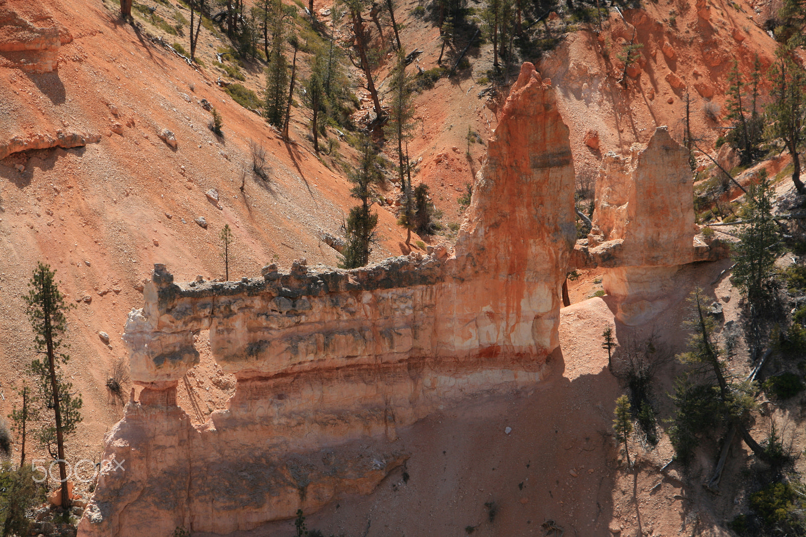 Canon EOS 400D (EOS Digital Rebel XTi / EOS Kiss Digital X) sample photo. Bryce canyon photography