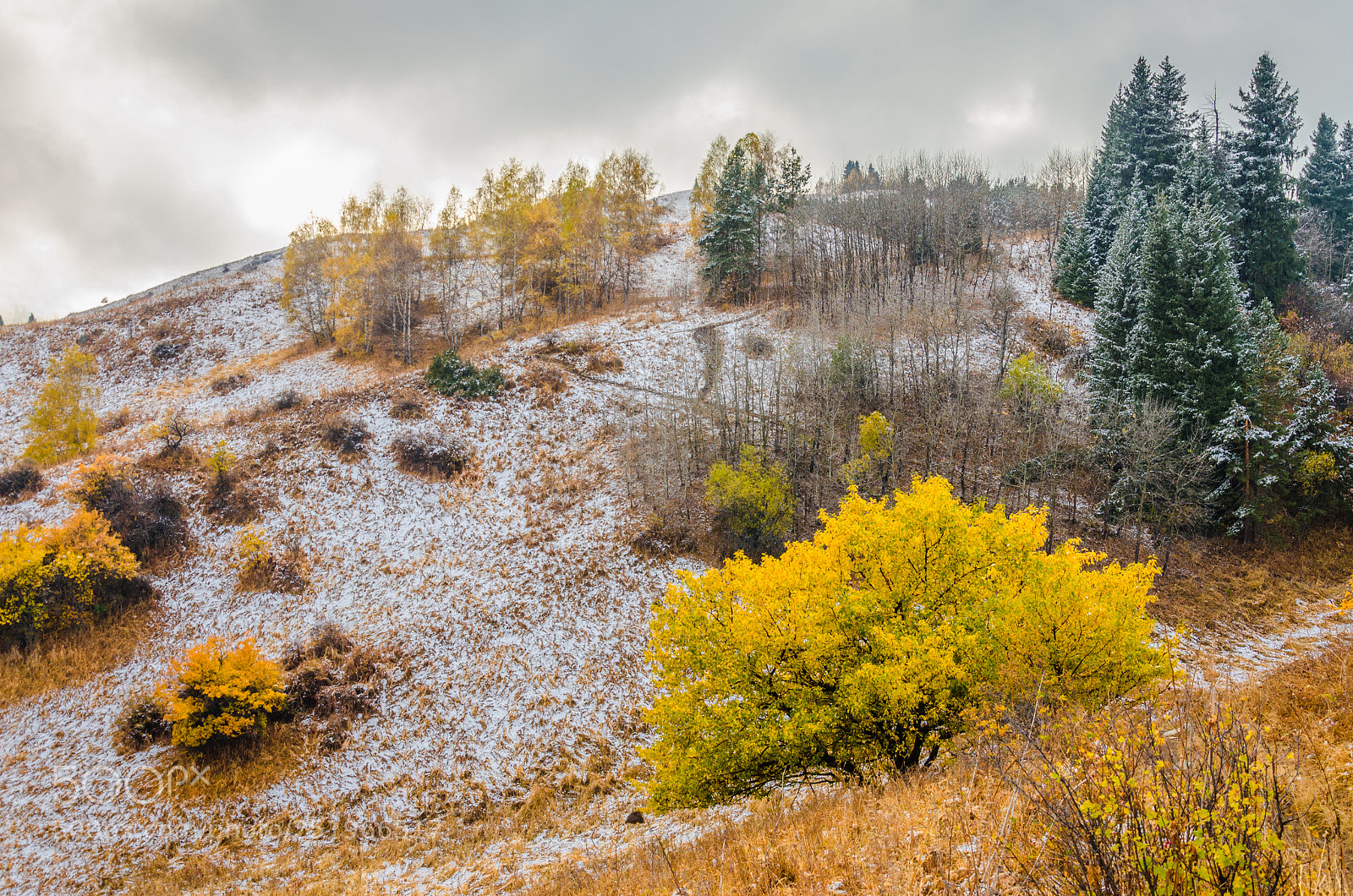 Nikon D7000 sample photo. Autumnish photography