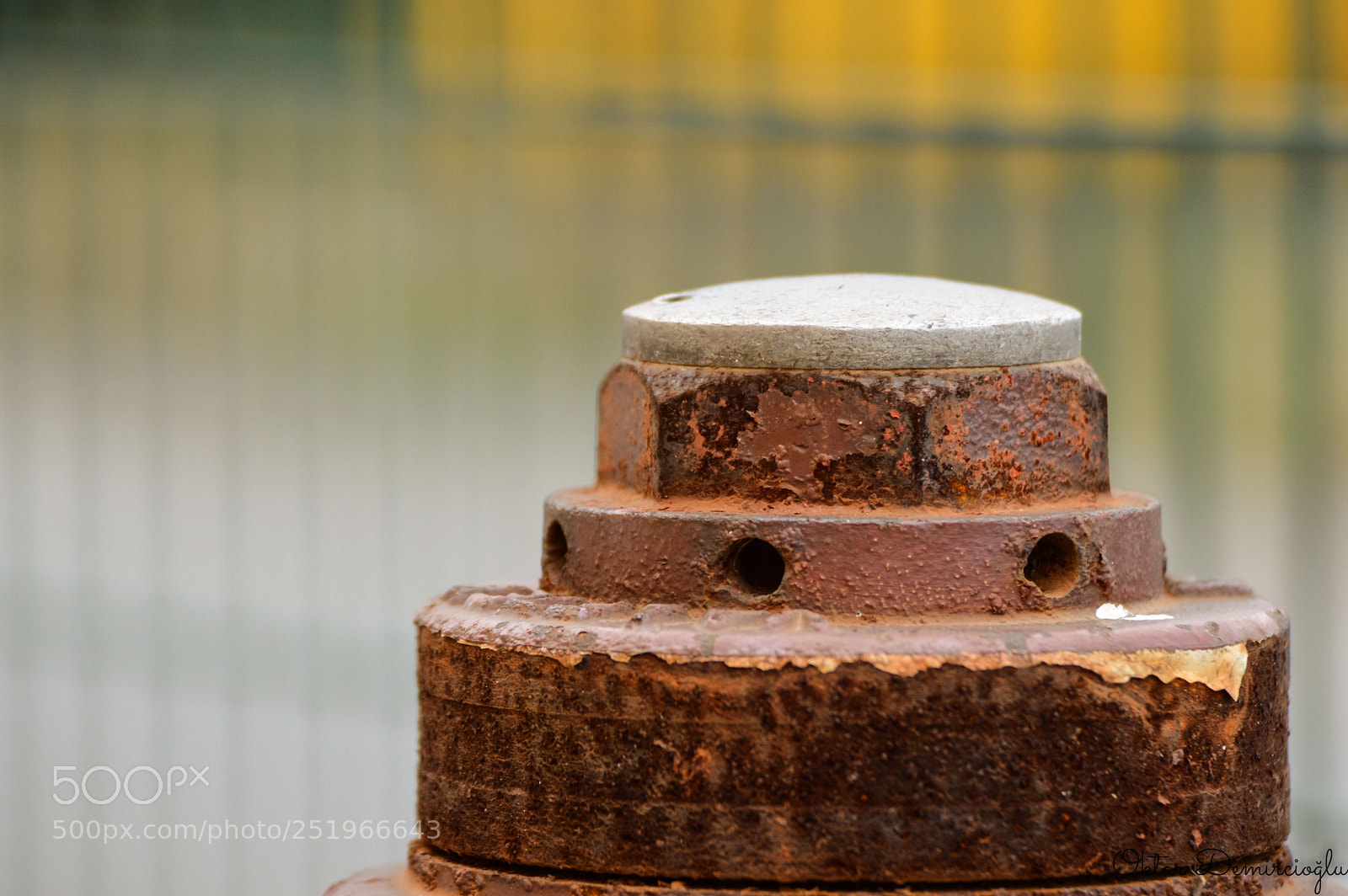 Nikon D3200 sample photo. Rusty bolt photography