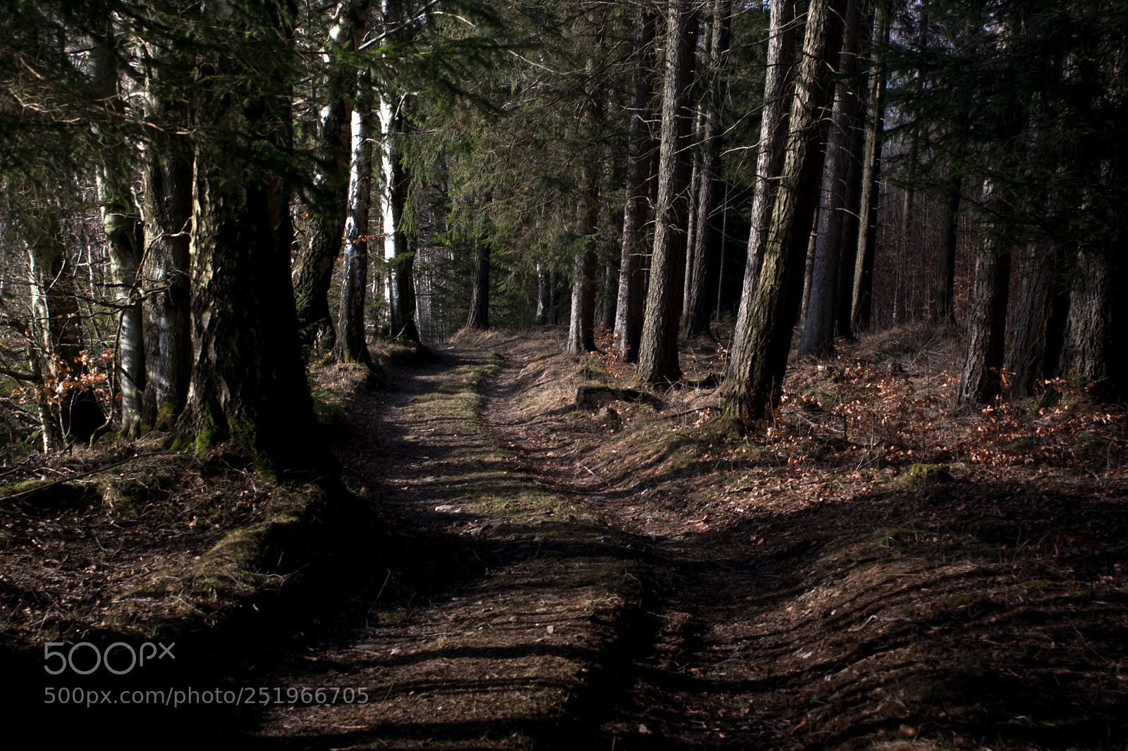 Nikon D5200 sample photo. Light and shadow photography