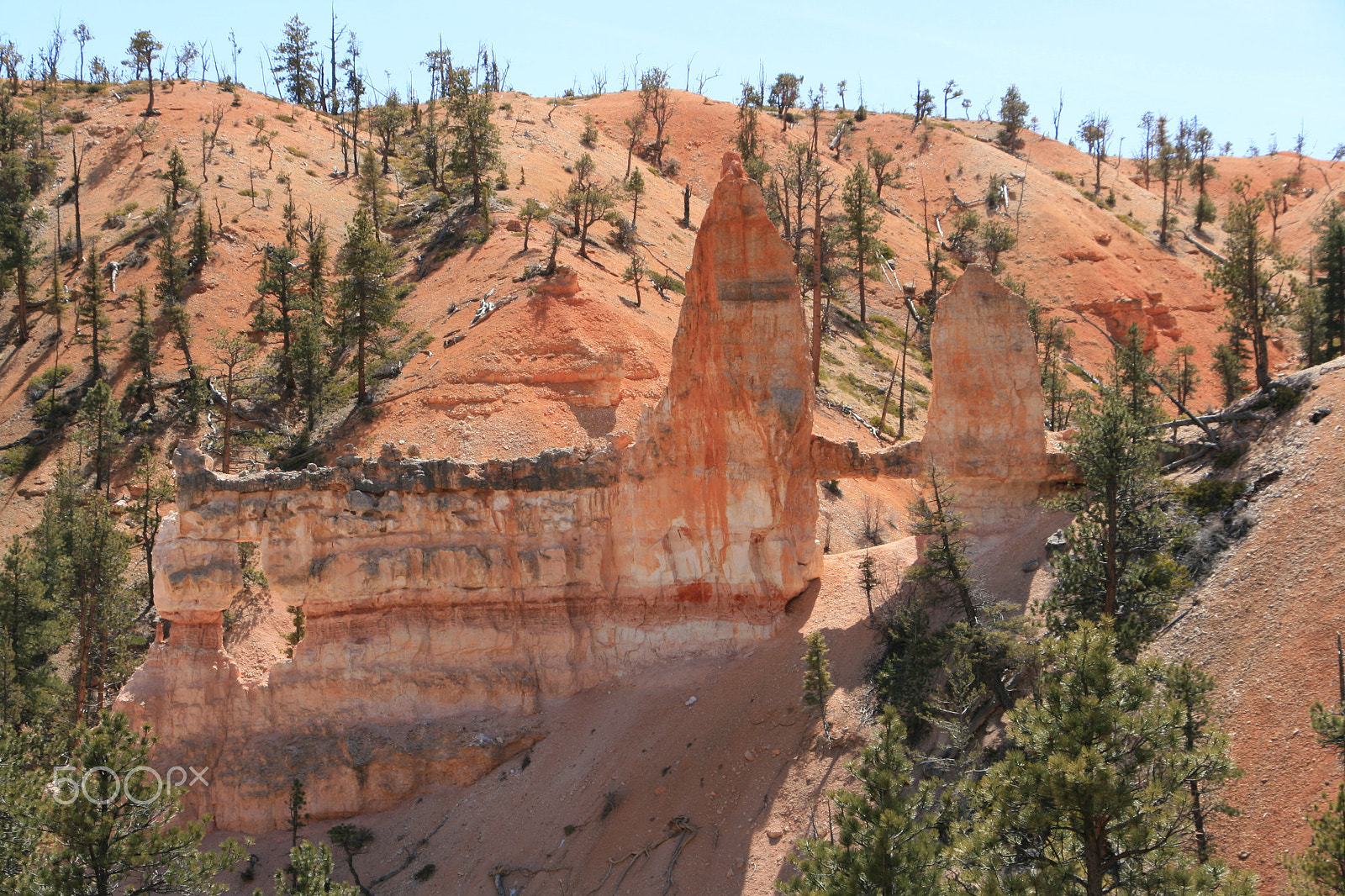 Canon EOS 400D (EOS Digital Rebel XTi / EOS Kiss Digital X) sample photo. Bryce canyon photography