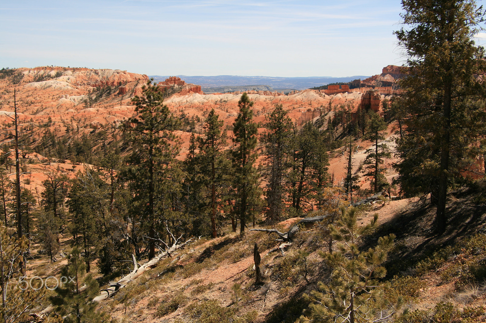 Canon EOS 400D (EOS Digital Rebel XTi / EOS Kiss Digital X) sample photo. Bryce canyon photography
