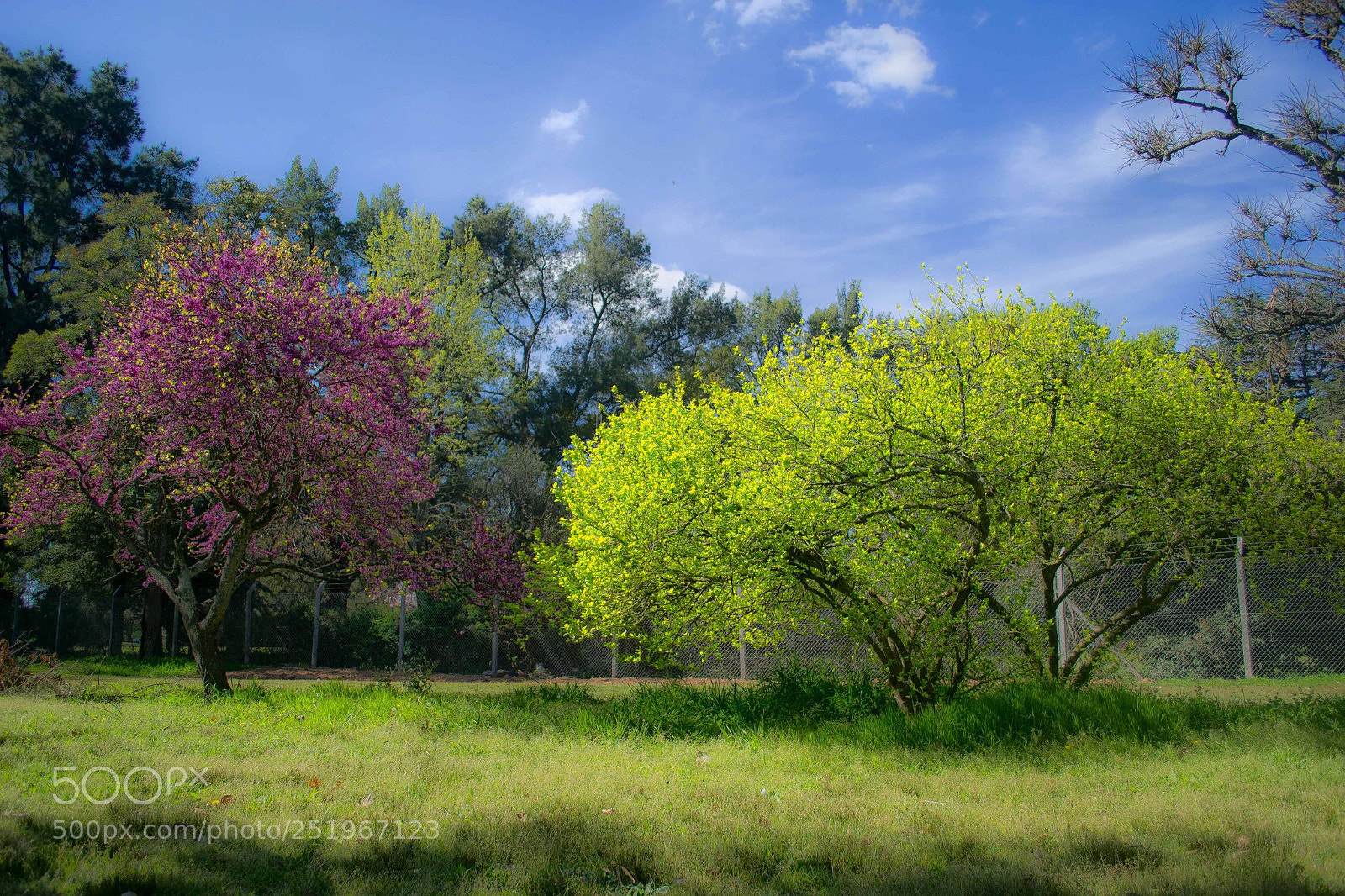Nikon D3100 sample photo. Colores photography