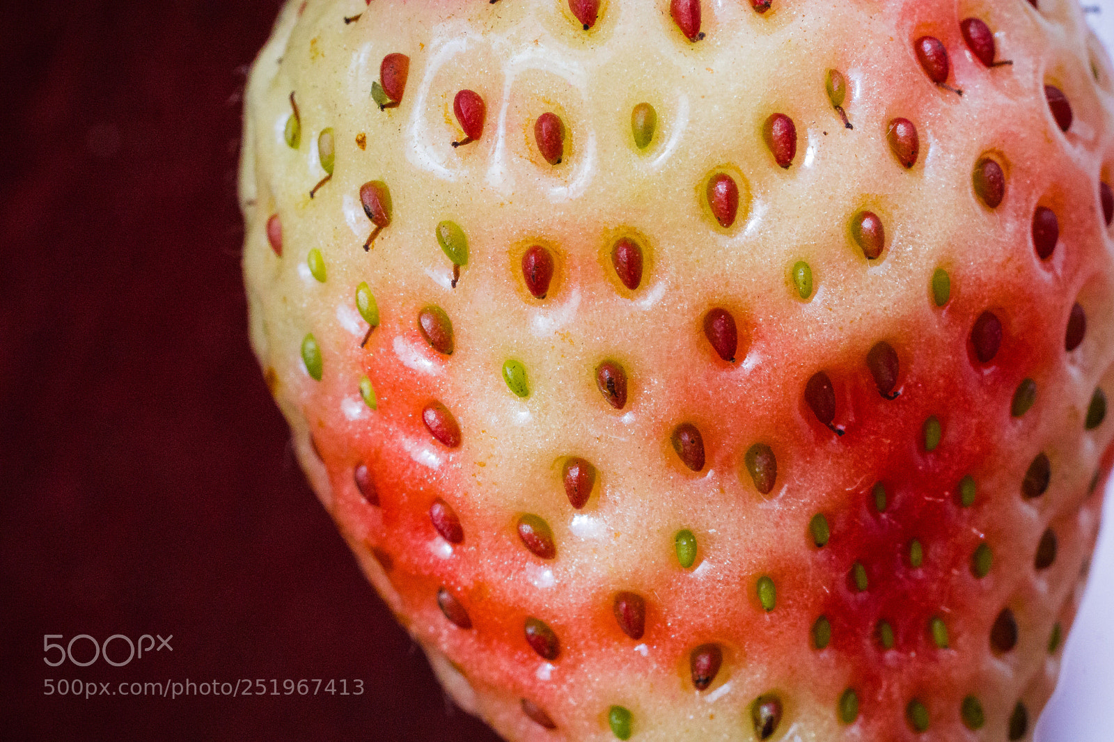 Sony a6000 sample photo. Red strawberry  photography