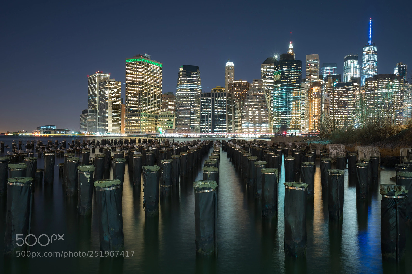 Sony a7R II sample photo. Dsc photography