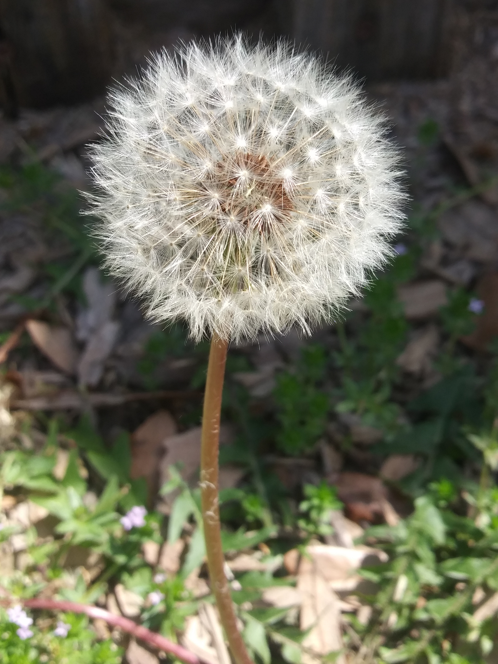 LG K8(2018) sample photo
