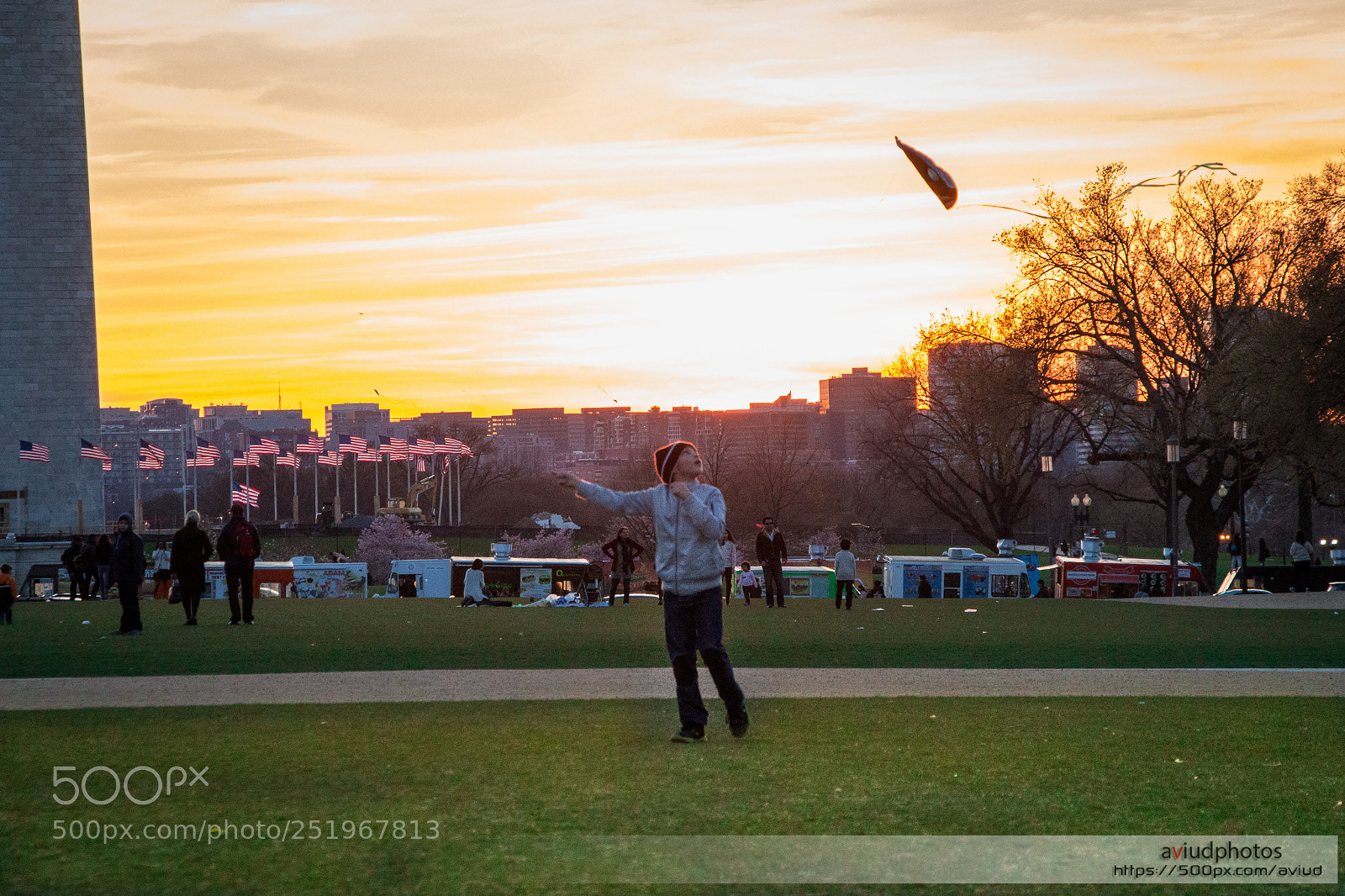 Canon EOS 700D (EOS Rebel T5i / EOS Kiss X7i) sample photo. Dc kite festival photography