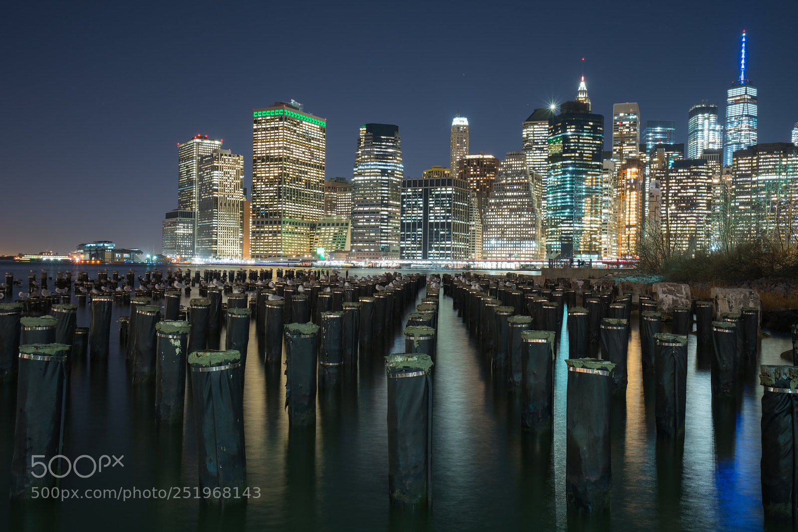 Sony a7R II sample photo. Dsc photography