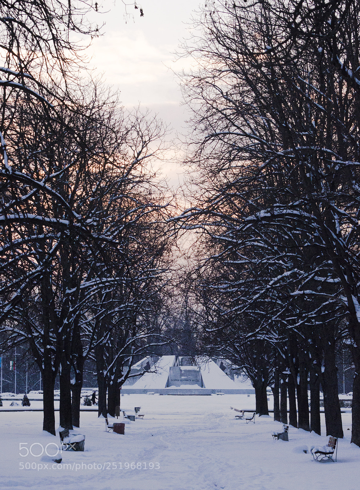 Nikon D3200 sample photo. Winter photography