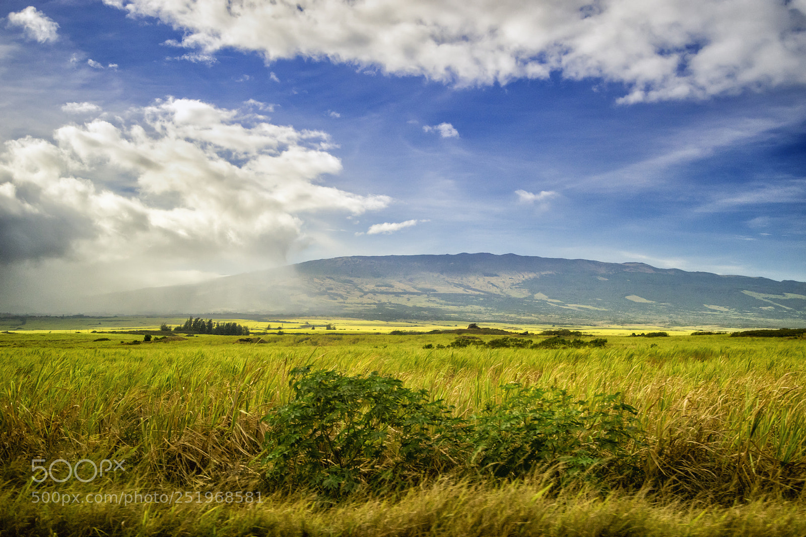 Sony a7 sample photo. Flying down a hawaiian photography