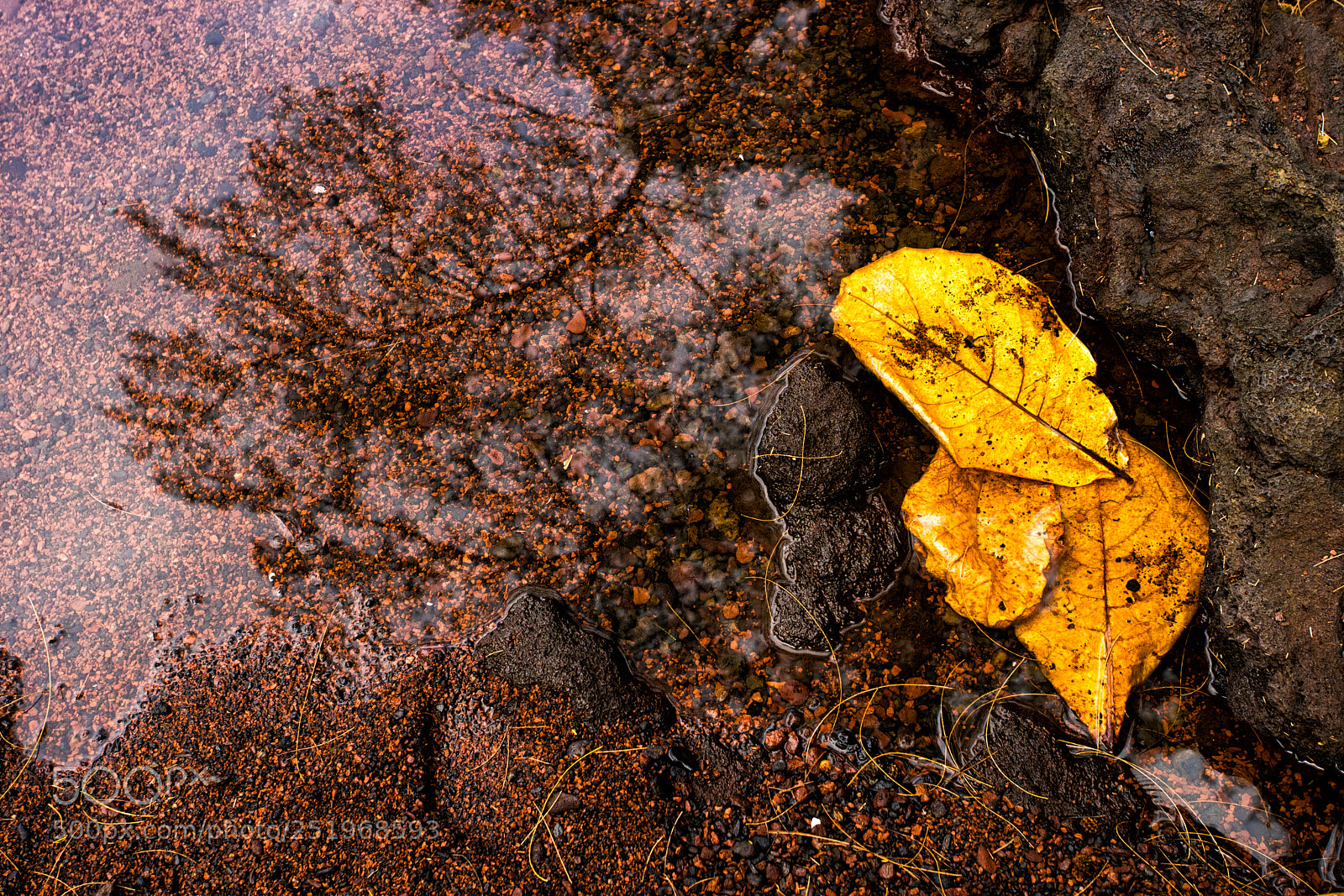 Sony a7 sample photo. Red sand pool photography