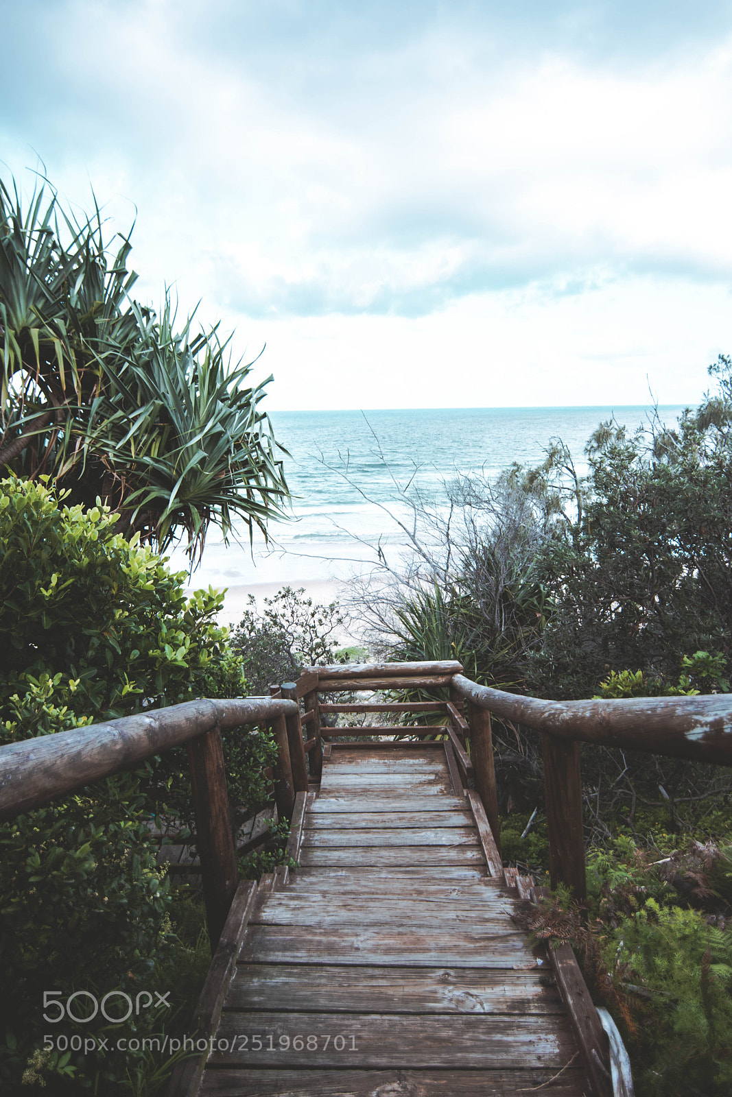 Nikon D7100 sample photo. Australia photography