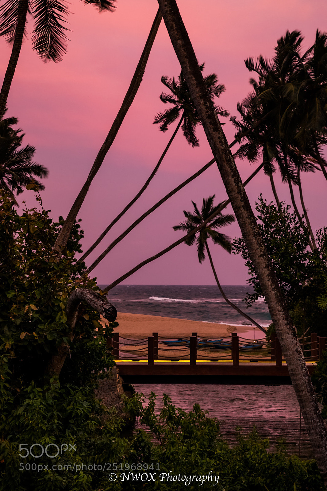 Canon EOS 5D Mark IV sample photo. Pink sunset photography