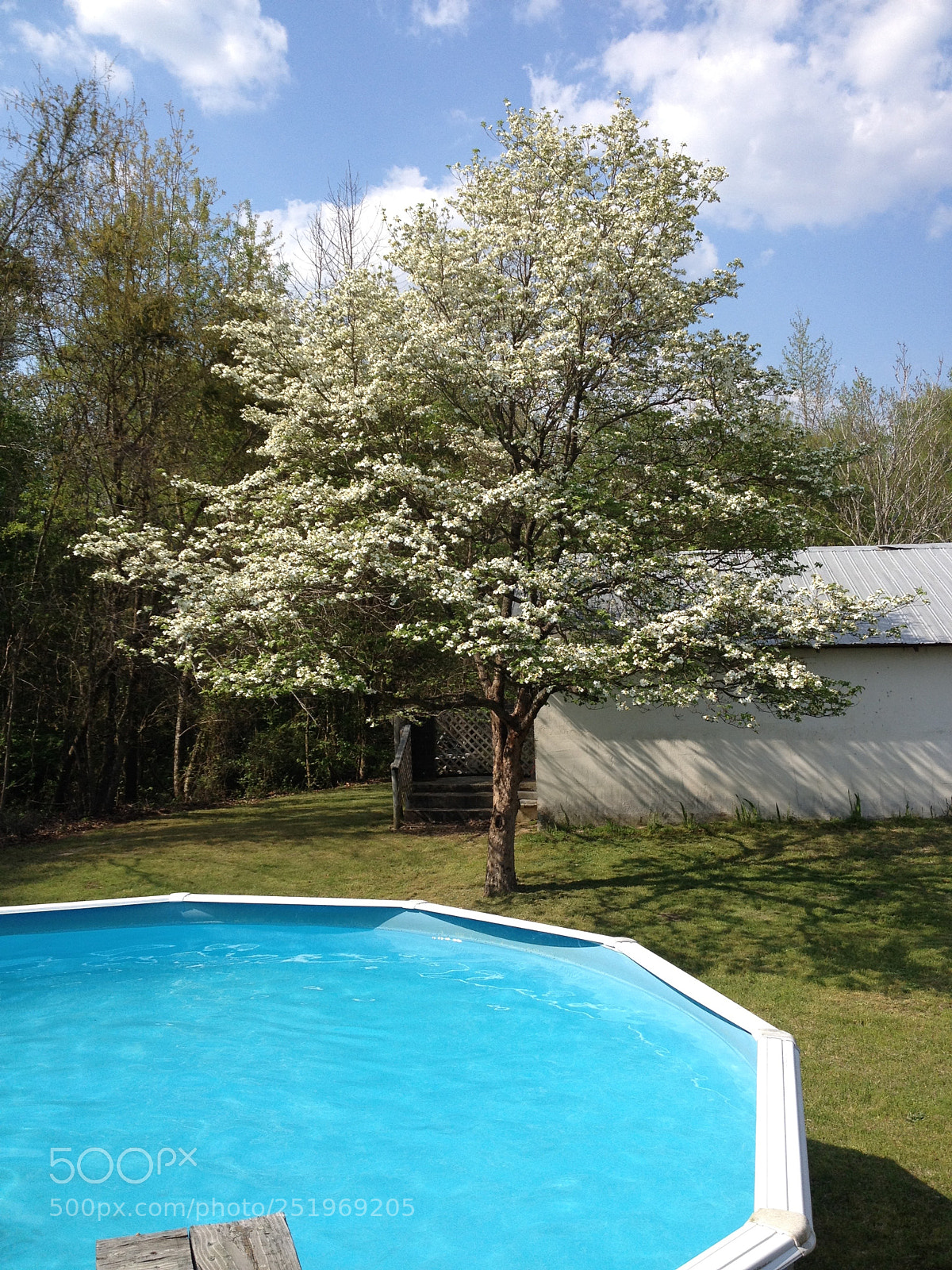 Apple iPhone 4S sample photo. Nature photography