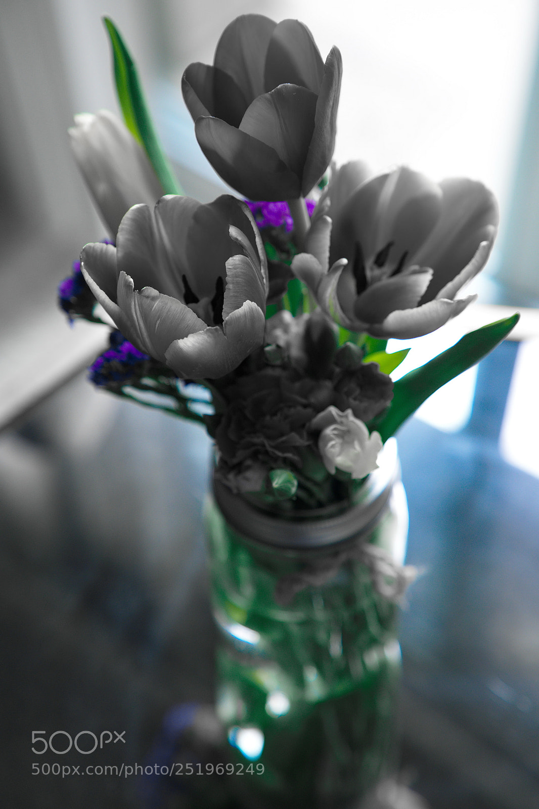 Fujifilm X-T2 sample photo. Grey gardens photography