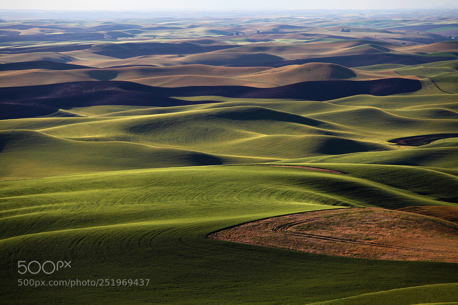 Canon EOS 5D Mark II sample photo. Palouse fields photography