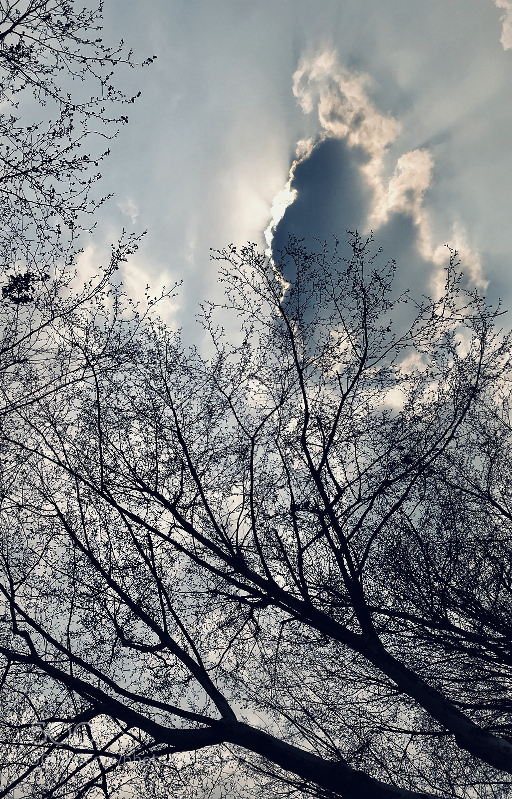 Apple iPhone 7 sample photo. Untitled photography