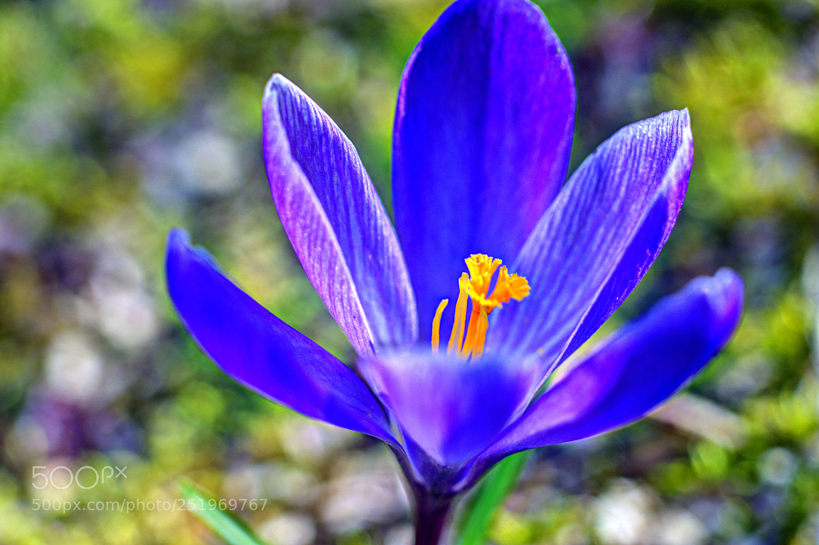 Sony a6000 sample photo. Vor dem friedwald starnberg photography
