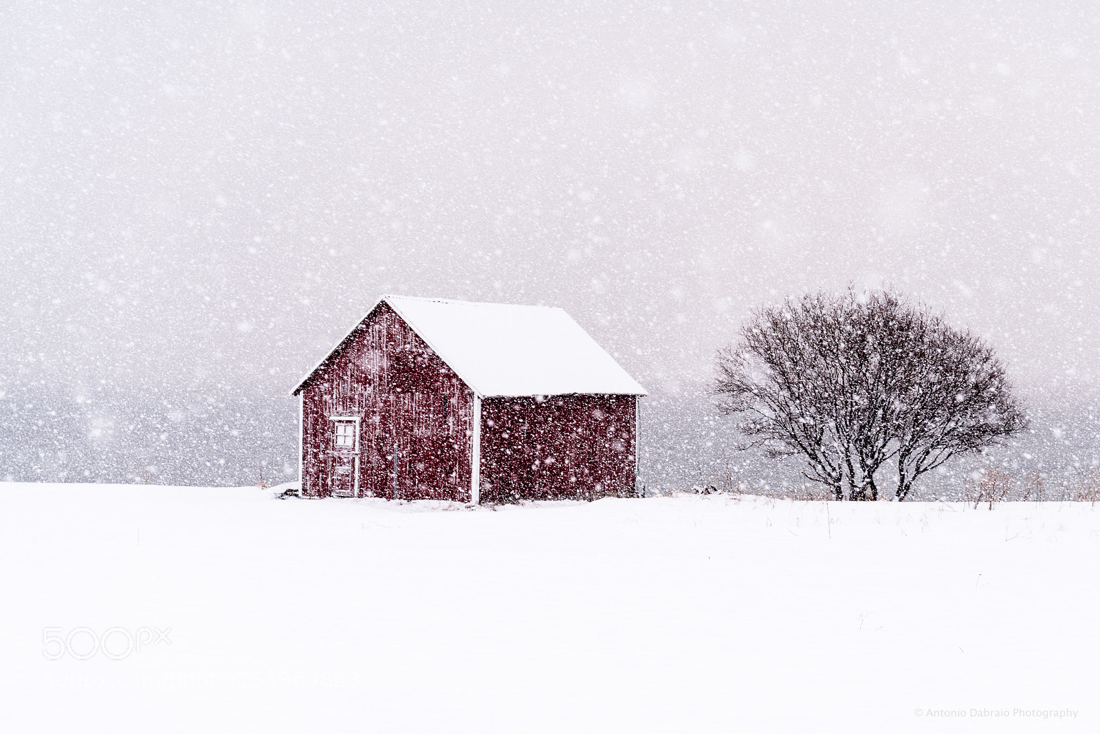 Sony a7R III sample photo. Senja, norway winter landscape photography