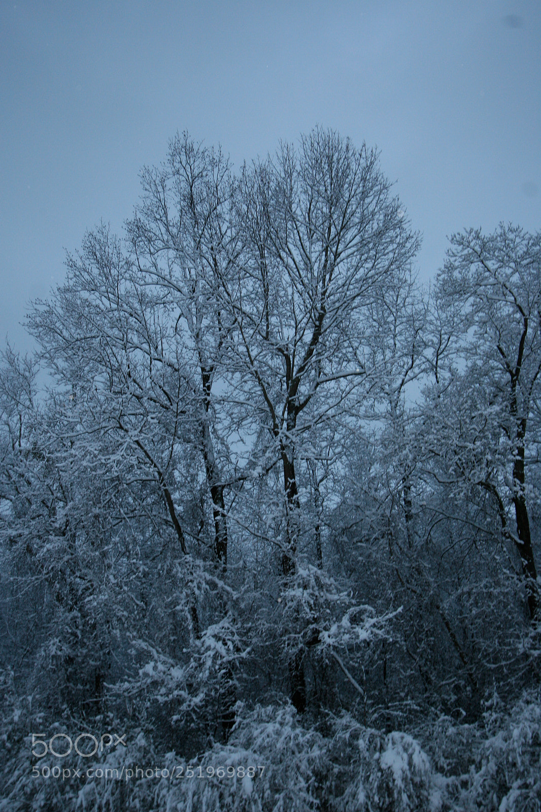 Canon EOS 30D sample photo. Nature photography