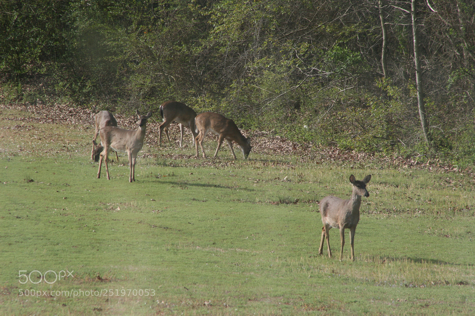 Canon EOS 30D sample photo. Nature photography