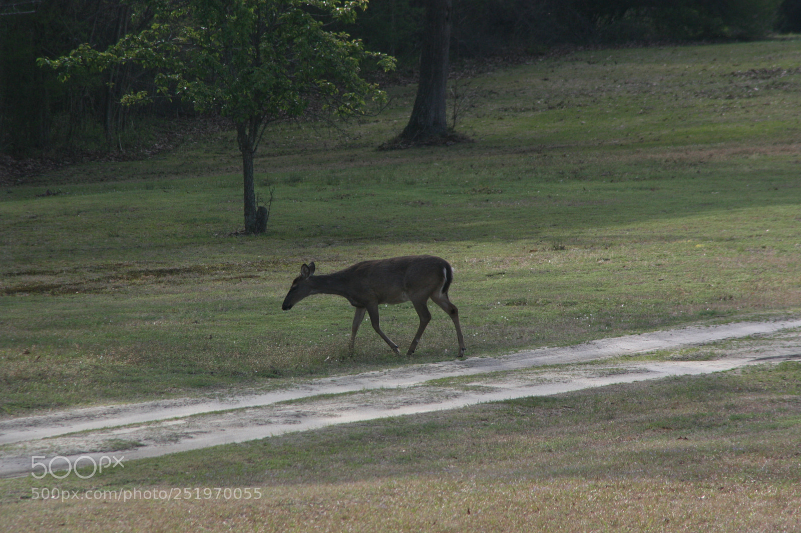 Canon EOS 30D sample photo. Nature photography