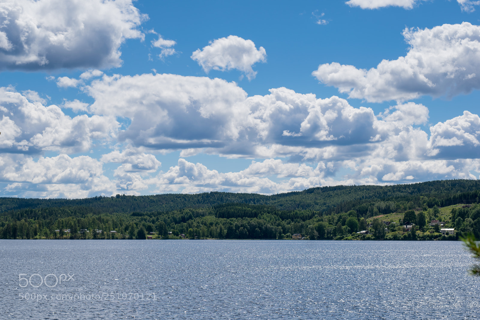 Nikon D5300 sample photo. Dreaming of summer photography