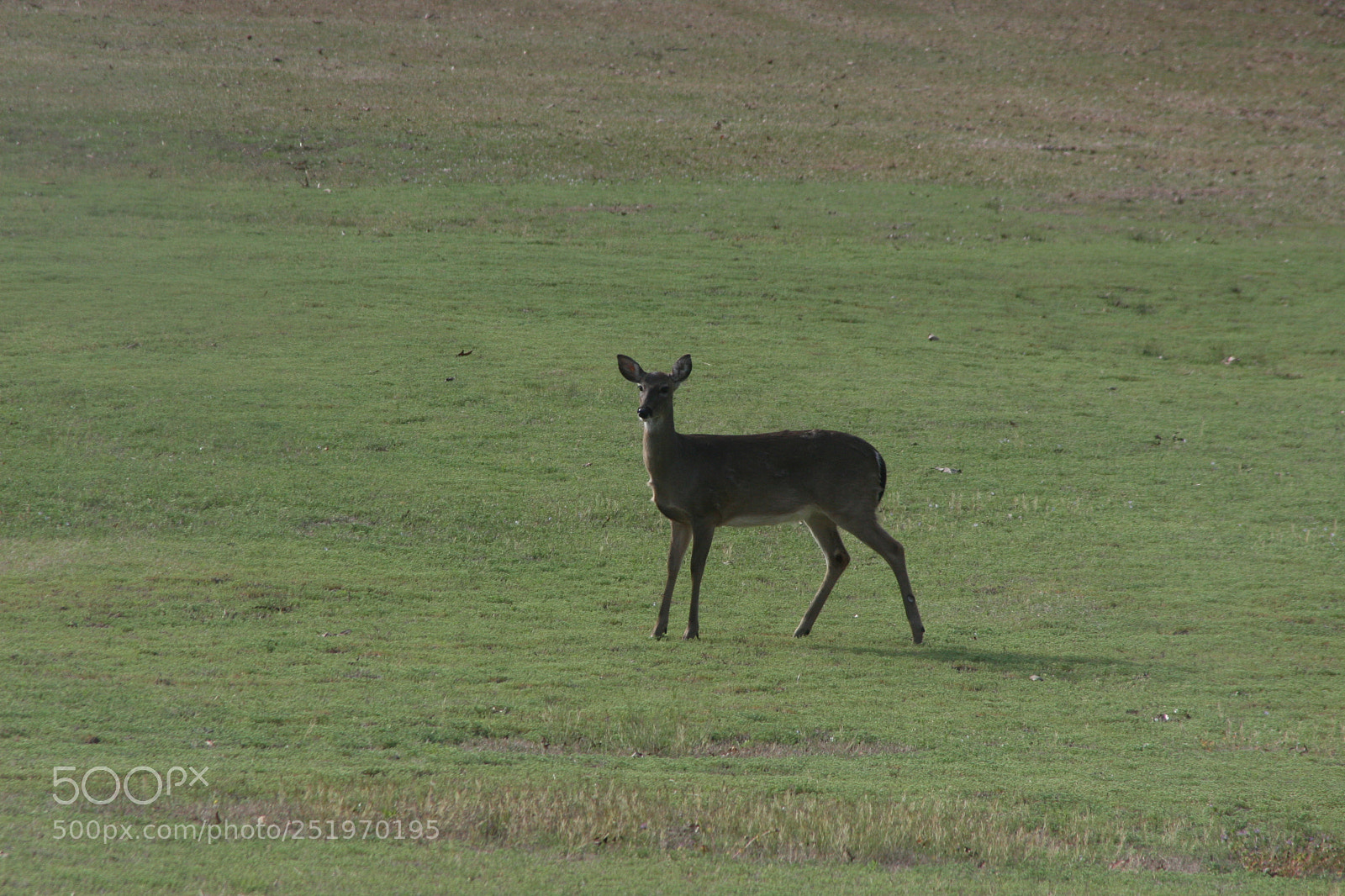 Canon EOS 30D sample photo. Nature photography