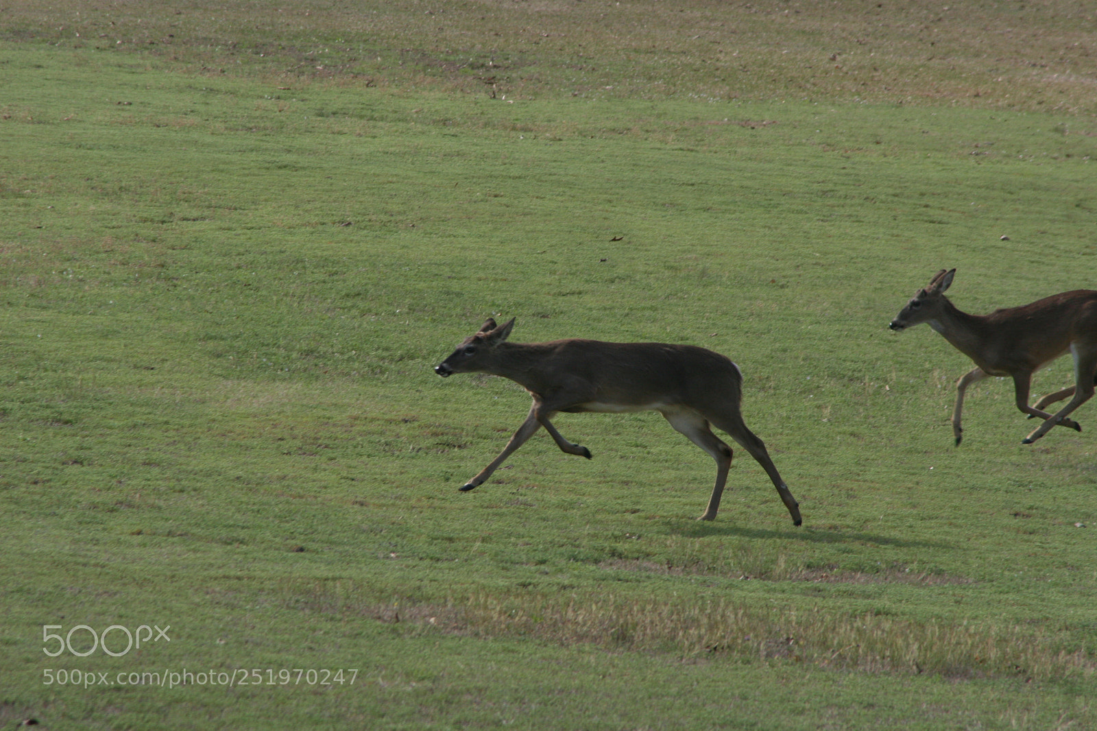 Canon EOS 30D sample photo. Nature photography