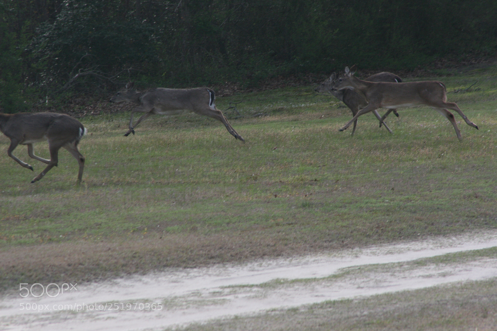 Canon EOS 30D sample photo. Nature photography