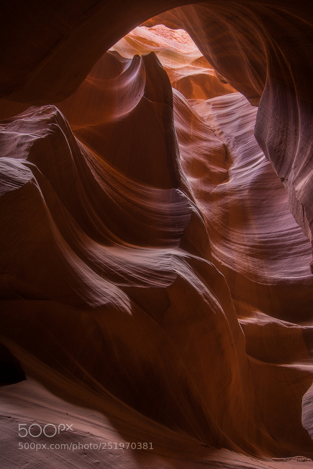 Nikon D7100 sample photo. Antelope shadows photography