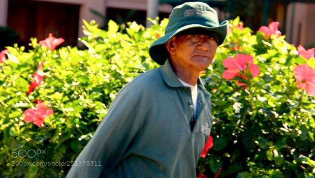 Canon EOS 60D sample photo. Untitled photography