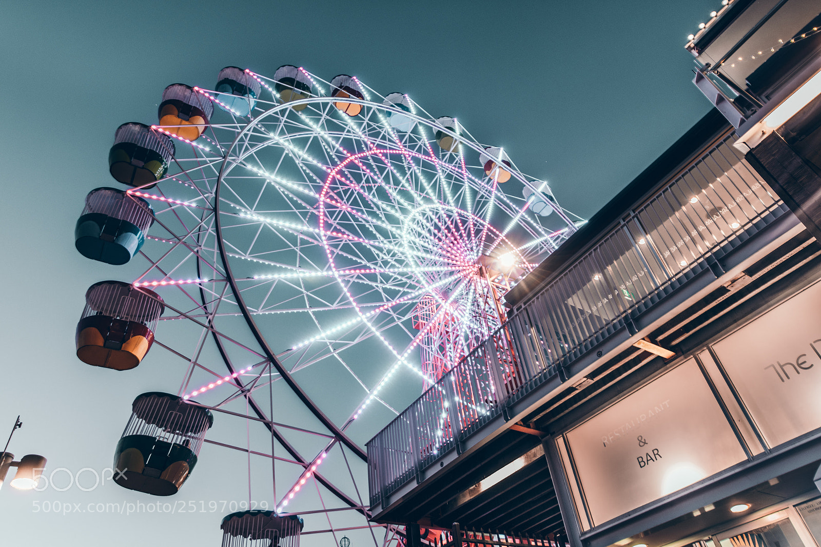 Nikon D850 sample photo. Untitled photography