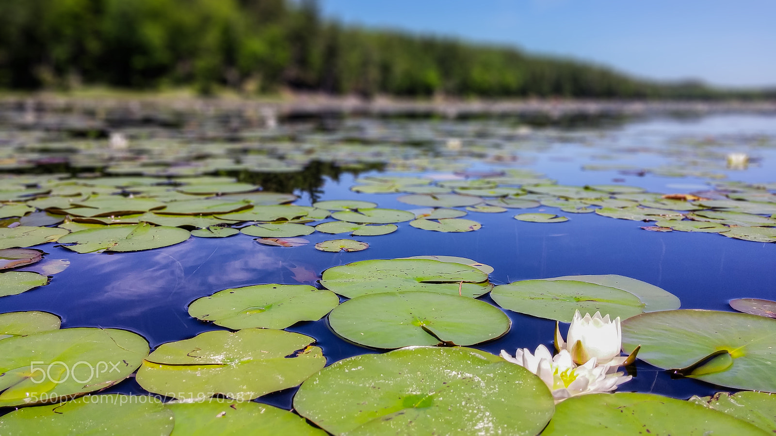 LG G3 sample photo. Floating photography